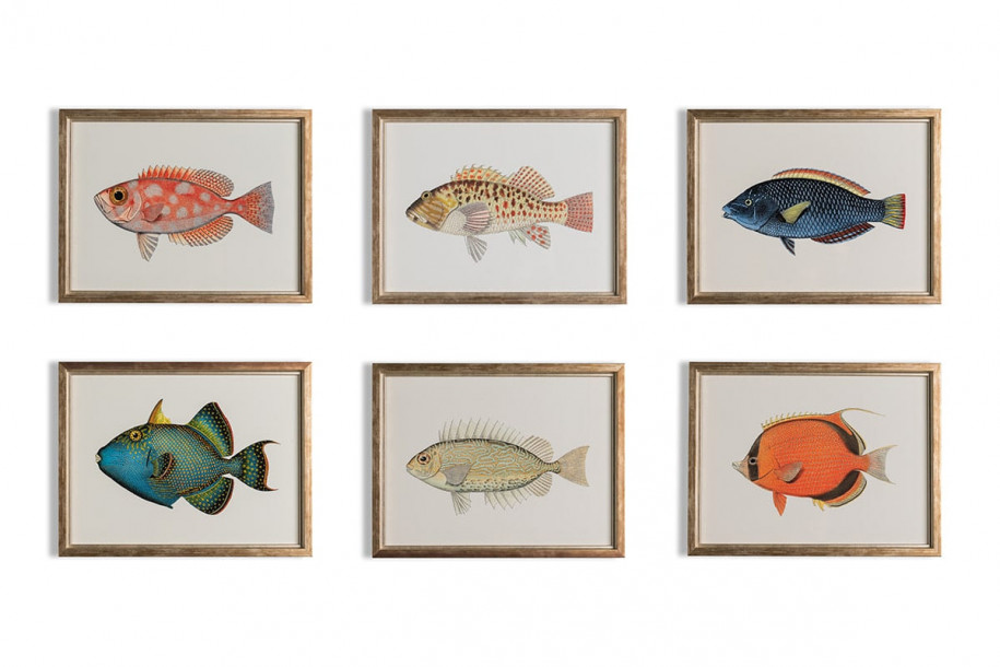 Fishes Posters (Horizontal), set of 6 pcs