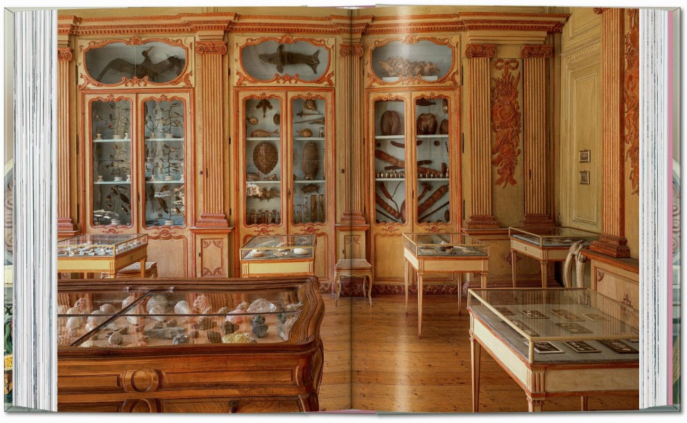 Cabinet Of Curiosities