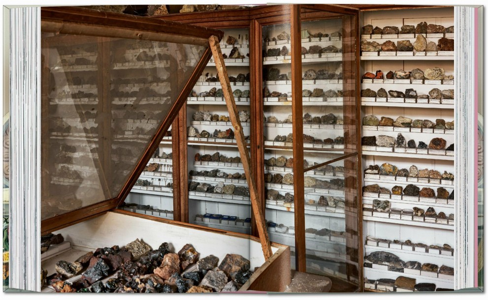 Cabinet Of Curiosities