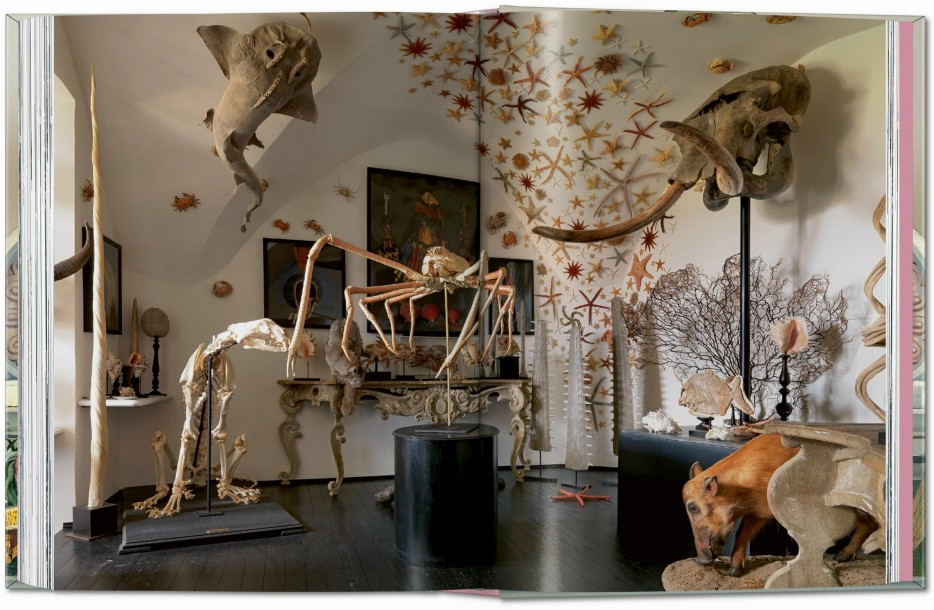 Cabinet Of Curiosities