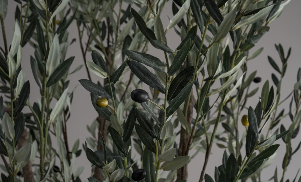 Artificial Olive Tree H300 cm