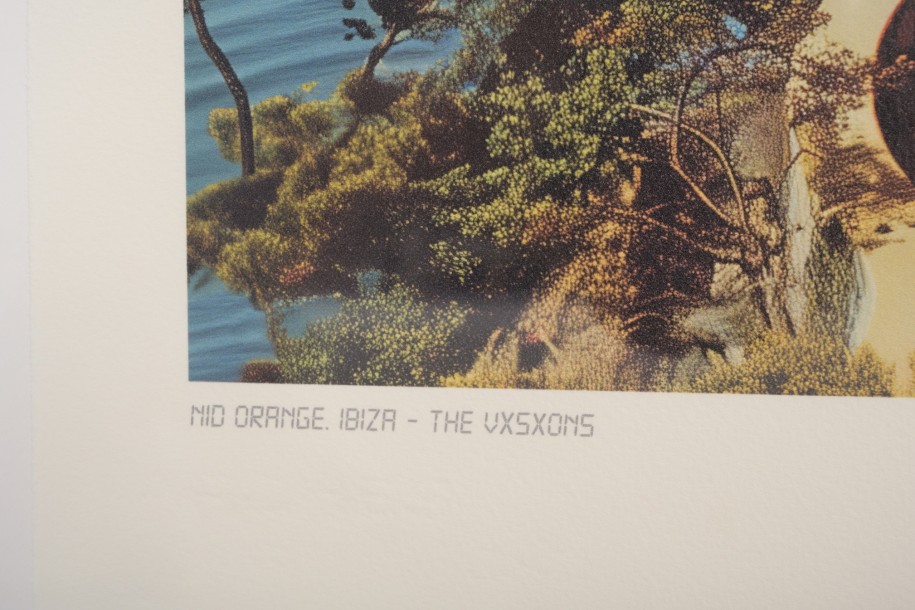 The Vxsxons:09 Poster