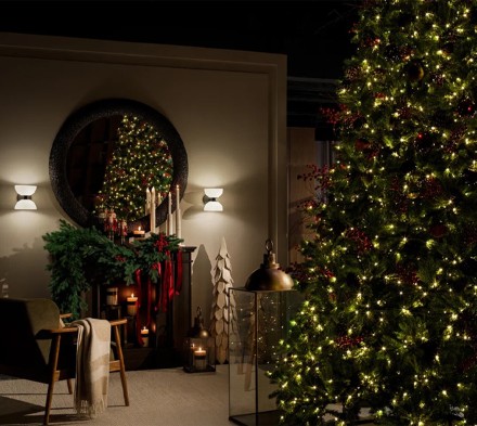 Family Evenings: Comfort That Brings Everyone Together