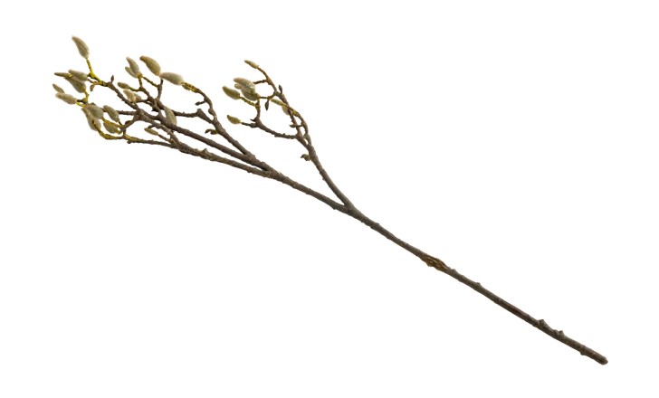 Artificial Kapok Tree Branch H90cm