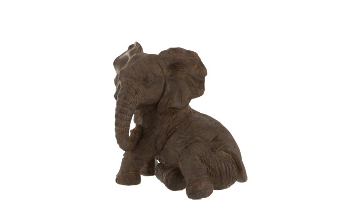 Elephant Lying Dark
