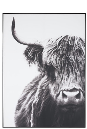 Yak Wall Art 