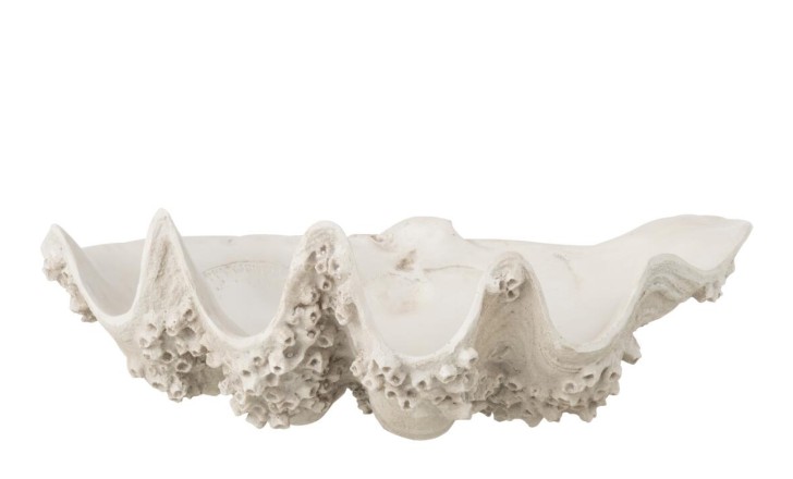 Seashell Decorative Bowl Off-White S