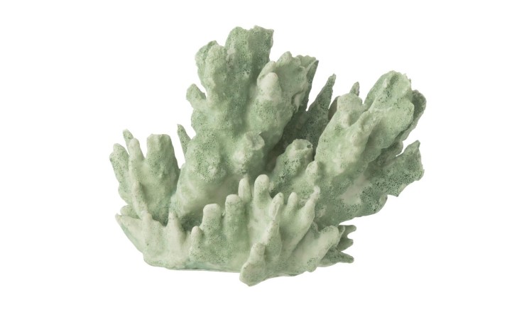 Coral Mint Green L