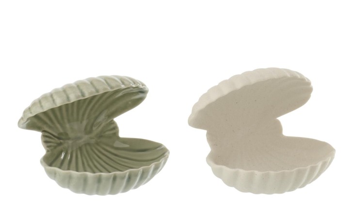 Shell Open White/Olive Assortment Of 2