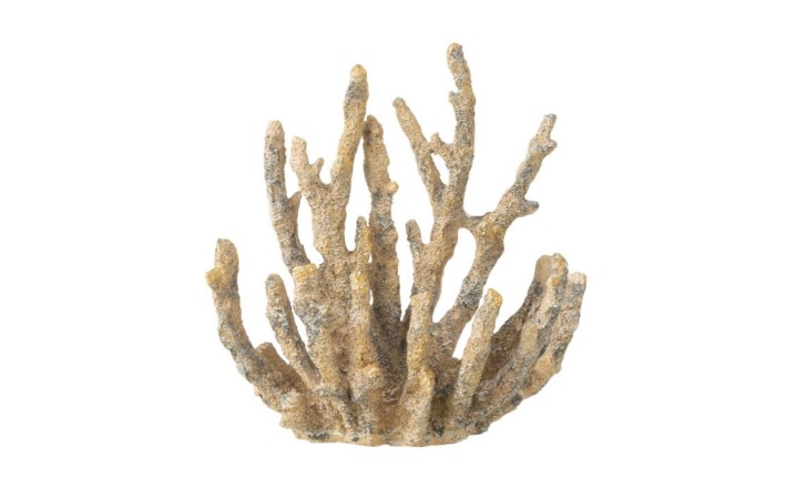 Coral Fugurine Brown/Gold (15x9x16cm)