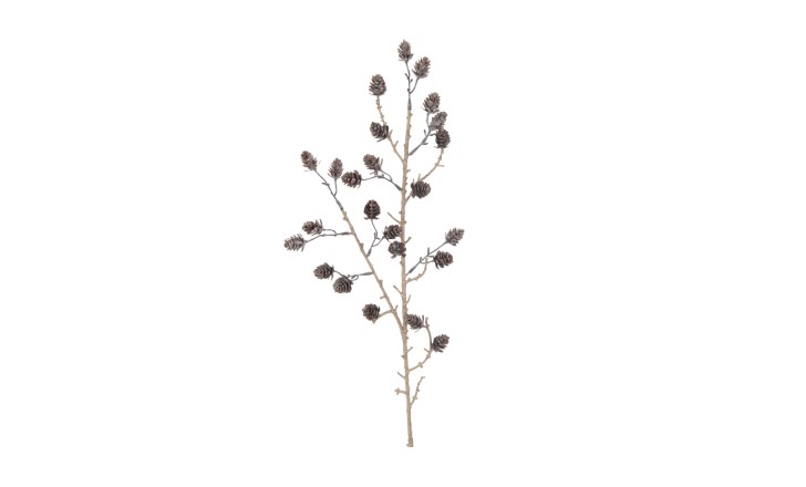 Branch Pine Cones
