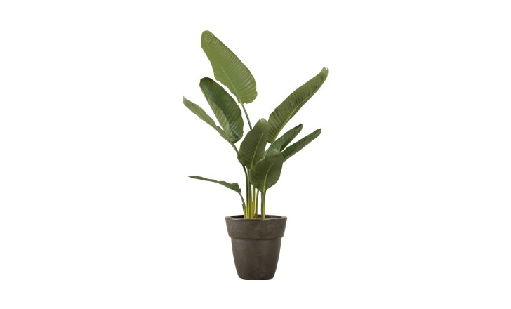 Artificial Traveler Banana Tree, H 120 cm