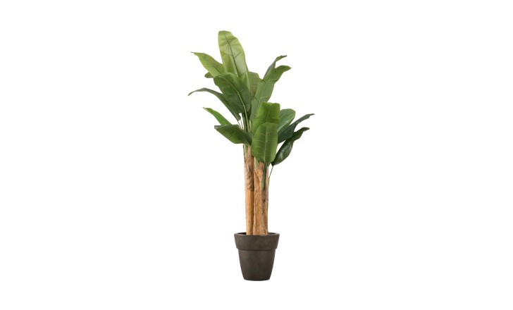 Artificial Banana Tree, H 150 cm