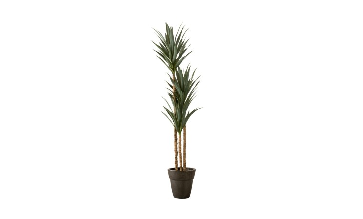 Artificial Yucca Tree, H 180 cm