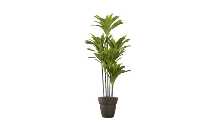 Artificial Plant Dracaena, H 150 cm