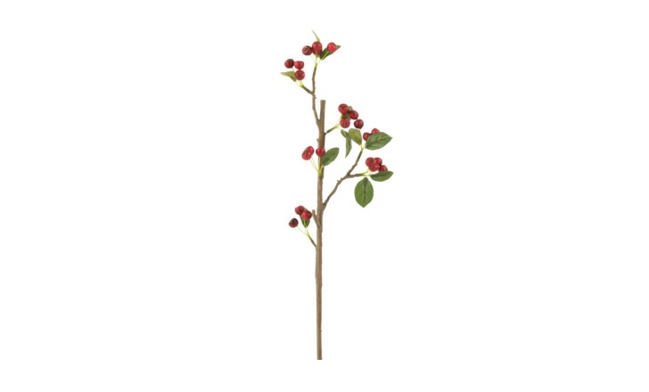 Branch Berries S