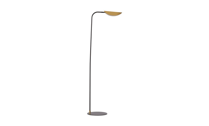 Ficus Floor Lamp